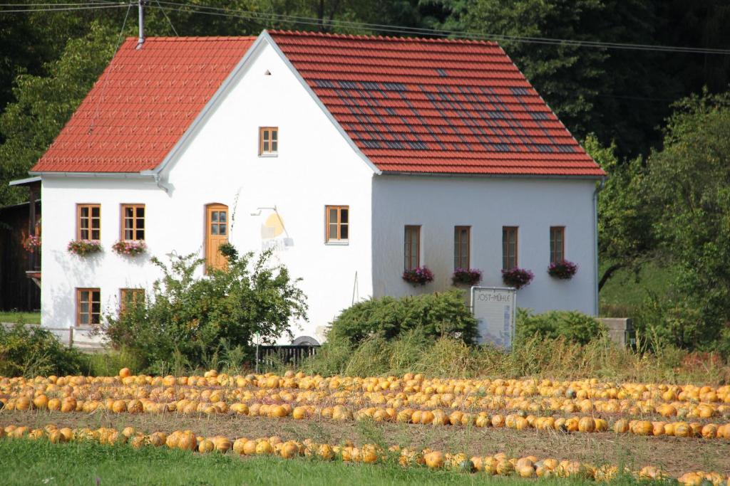 Ferienwohnung Buchgrabenhof Windisch Minihof Exterior foto